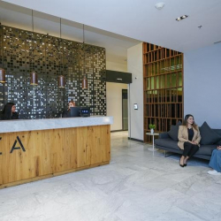 Executive office - Mexico City