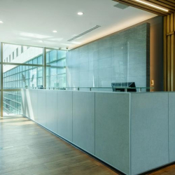 Serviced offices in central Cancun