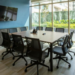 Guadalajara executive office