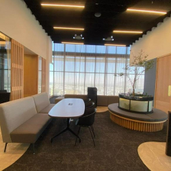 Office suites to lease in Guadalajara