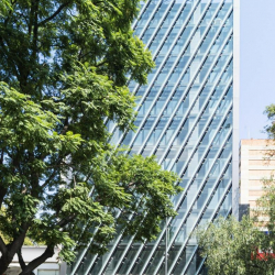 Av. Pdte. Masaryk 191, Col. Polanco V Secc executive suites