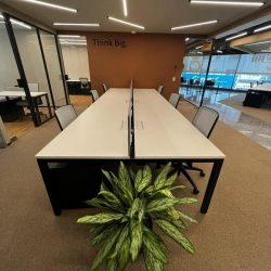 Mexico City serviced office