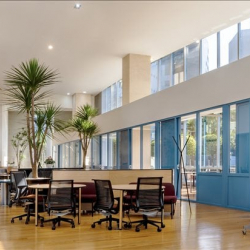 Serviced office centres to lease in Mexico City