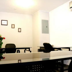 Private office suite with two black desks, minimalist wall art, and a potted plant.