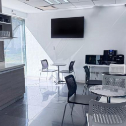 Executive offices to rent in San Pedro Garza García