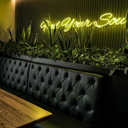 Offices at Avenue Emilio Castelar 75, Polanco IV Secc, Miguel Hidalgo
