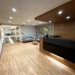 Executive suite in Mexico City