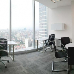 Calle Río Lerma No.232, Torre Diana, Piso 23 executive office centres