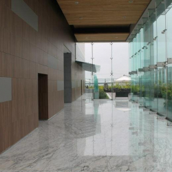 Calz. Gral. Mariano Escobedo 476-piso 12, Chapultepec Morales, Miguel Hidalgo, Anzures
