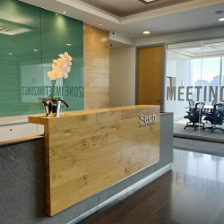Executive offices to rent in Mexico City
