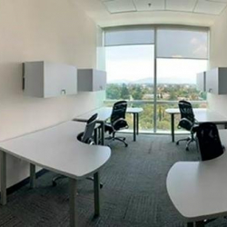 Serviced office - Mexico City