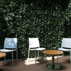 Executive offices in central Mexico City