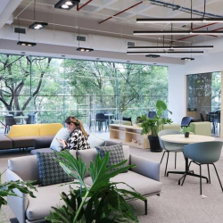 Serviced office - Mexico City