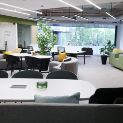 Mexico City serviced office