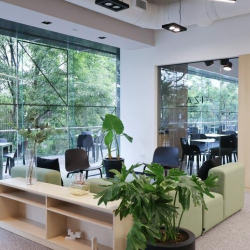 Del, Av. Insurgentes Sur 1647-Piso 1, 2 y 4, San José Insurgentes, Benito Juárez, 03900 Ciudad de México, CDMX, Prisma, Delegación Benito Juárez