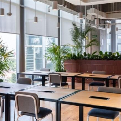 Mexico City serviced office