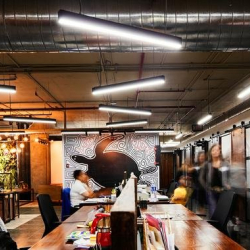 Modern hallway lined with dark wood doors and glass-partitioned private offices.