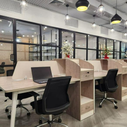Professional workstations with privacy dividers and black ergonomic chairs.
