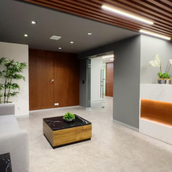 Offices at Monte Elbruz 124, Piso 2, Lomas de Chapultepec