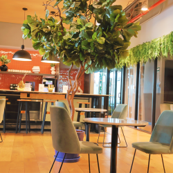 Interior of P.º de los Tamarindos 90-Torre 2, Bosques de las Lomas