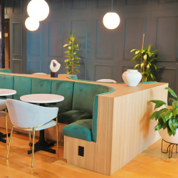 Office suites in central Mexico City