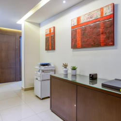 Image of Huixquilucan office suite