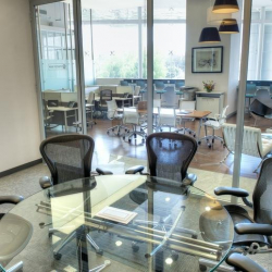 Executive suites to let in Guadalajara