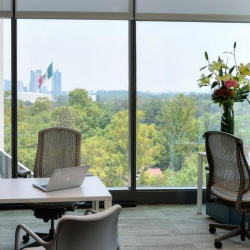 Pedregal 24, Col. Molino del Rey, Miguel Hidalgo office suites