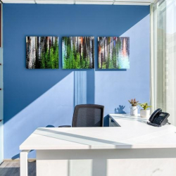 Serviced office centres in central Mexico City