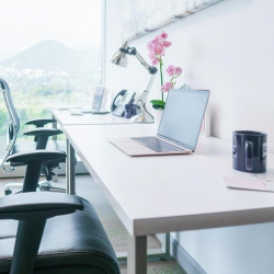 Office spaces to hire in San Pedro Garza García