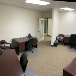 Large coworking office space with multiple desks and chairs at 10015 Old Columbia Rd, Suite B215, Columbia.
