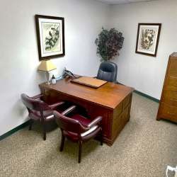Classic executive office interior with wooden desk and art at 10015 Old Columbia Rd, Suite B215, Columbia.