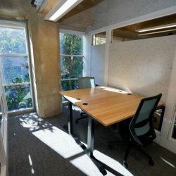 Bright private office for four with light wood desks and leafy window views.
