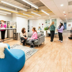 Relaxed lounge area with blue chairs and a grey sofa for informal meetings.