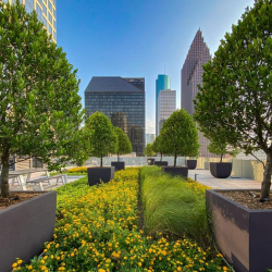 Vibrant rooftop garden with yellow flowers and Houston skyscraper views.