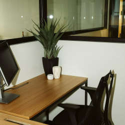 Modern desk space with a black mesh chair and a tall potted plant.