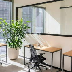 Shared office space featuring wooden desks and a large indoor plant.