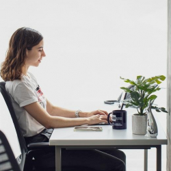 Serviced offices to rent in 