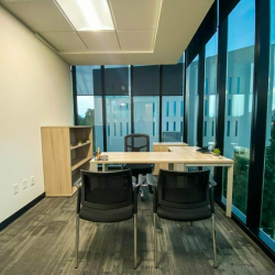 Executive suite to lease in Mexico City
