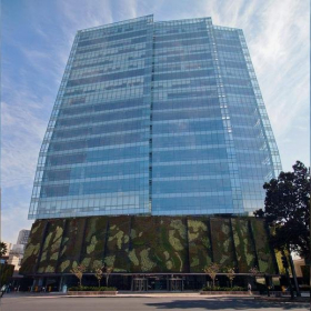 Executive suites to hire in Mexico City. Click for details.