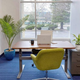 2999 Douglas Boulevard, Suite 180 serviced offices. Click for details.