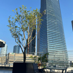 Serviced office centre in Mexico City. Click for details.