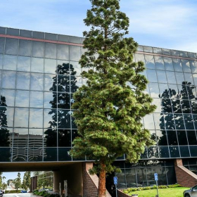 Image of Torrance serviced office. Click for details.