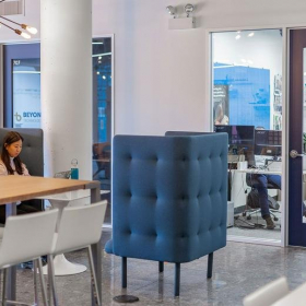 Executive offices in central Chicago. Click for details.