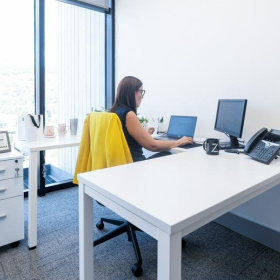 Office suites in central Guadalajara. Click for details.