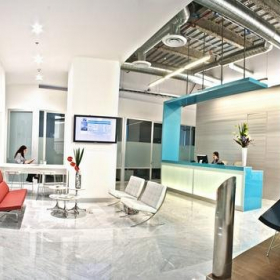Executive suite to lease in Mexico City. Click for details.