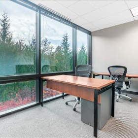 Image of Lake Oswego executive office. Click for details.