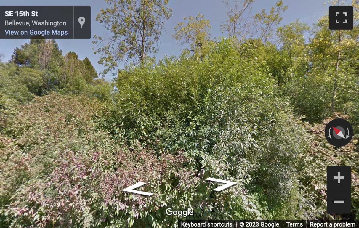 Street View image of 1400 112th Ave. SE, Suite 100, Bellevue, Washington, USA